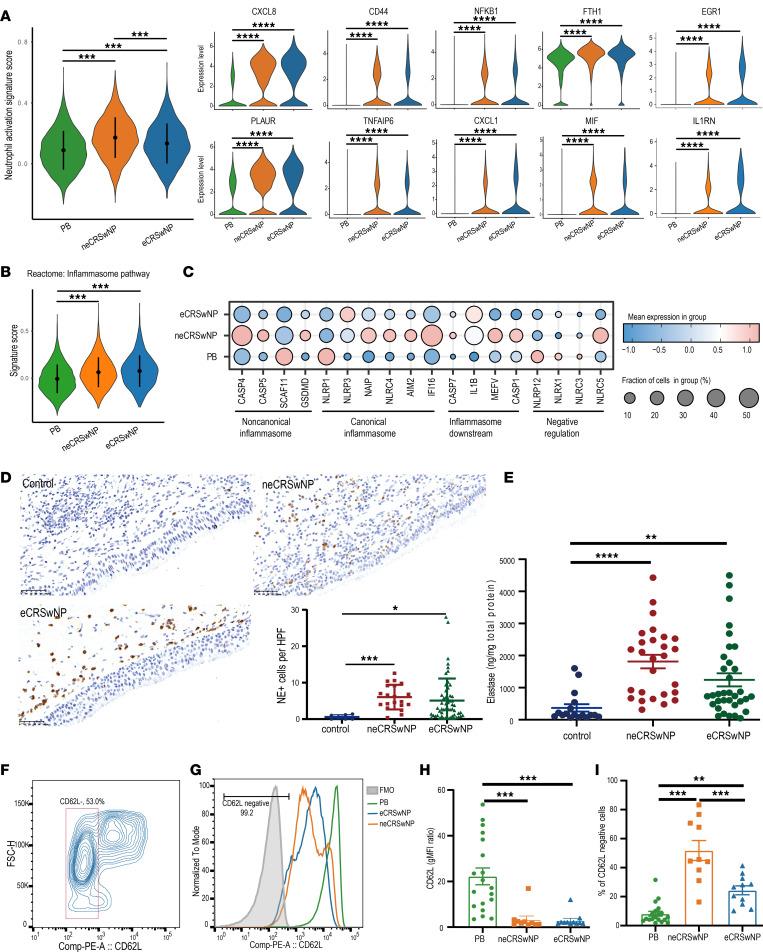 https://cdn.ncbi.nlm.nih.gov/pmc/blobs/8ad7/11601912/4ab5b96371ad/jciinsight-9-184739-g216.jpg
