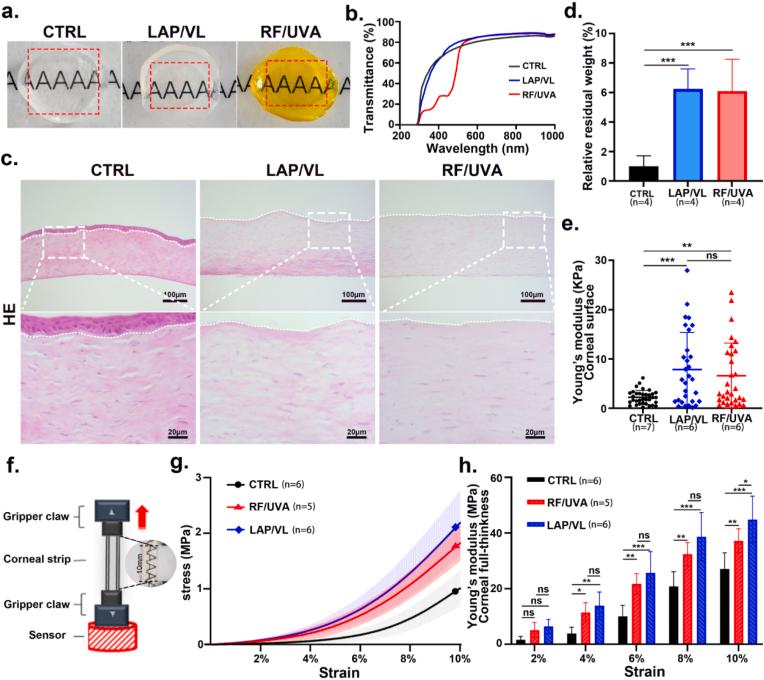 https://cdn.ncbi.nlm.nih.gov/pmc/blobs/8ad7/12318293/60ddcb7ae49f/gr2.jpg