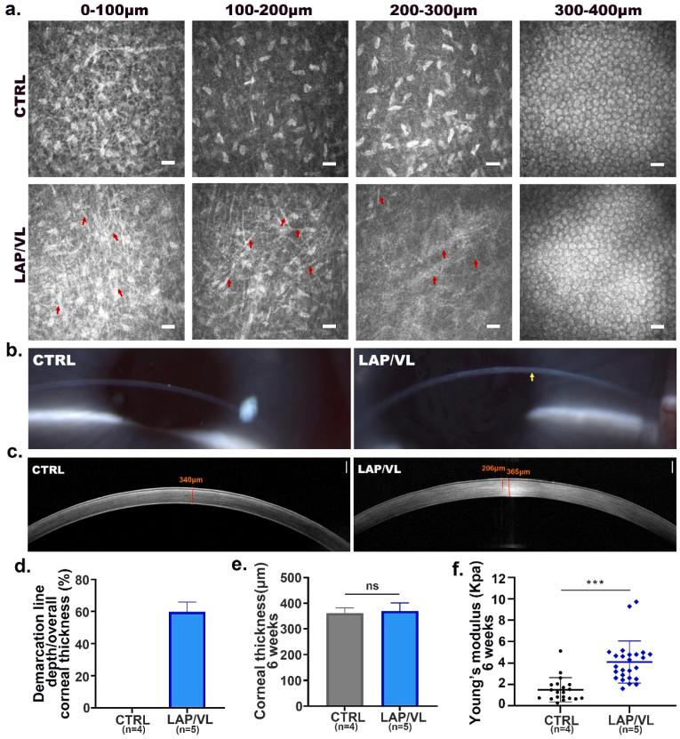 https://cdn.ncbi.nlm.nih.gov/pmc/blobs/8ad7/12318293/7407bf4de21d/gr5.jpg