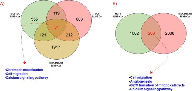 https://cdn.ncbi.nlm.nih.gov/pmc/blobs/8ad7/6668411/62ef33e0f7ac/41598_2019_47553_Fig5_HTML.jpg