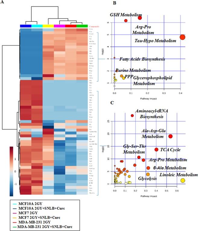 https://cdn.ncbi.nlm.nih.gov/pmc/blobs/8ad7/6668411/ad6e1002a60d/41598_2019_47553_Fig6_HTML.jpg