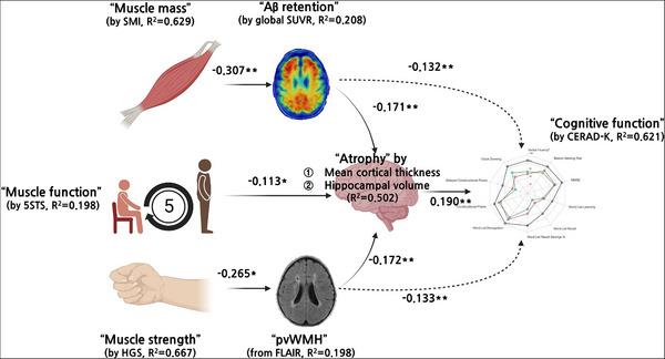 https://cdn.ncbi.nlm.nih.gov/pmc/blobs/8ada/11247690/064d2aa49e33/ALZ-20-4868-g003.jpg