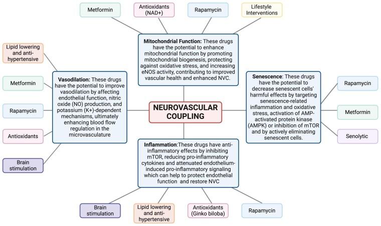 https://cdn.ncbi.nlm.nih.gov/pmc/blobs/8adb/10943572/614030e04ba4/fcae080f2.jpg