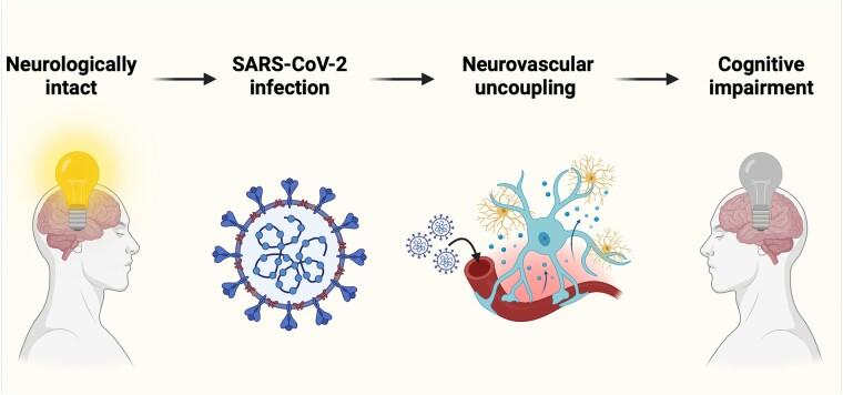 https://cdn.ncbi.nlm.nih.gov/pmc/blobs/8adb/10943572/968ecf05153d/fcae080_ga.jpg