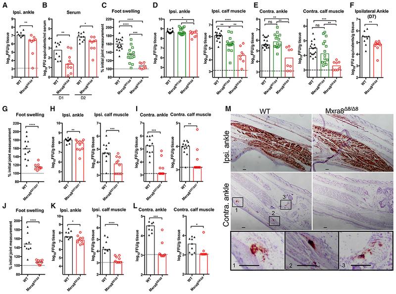 https://cdn.ncbi.nlm.nih.gov/pmc/blobs/8add/6745702/105083b42047/nihms-1539073-f0002.jpg