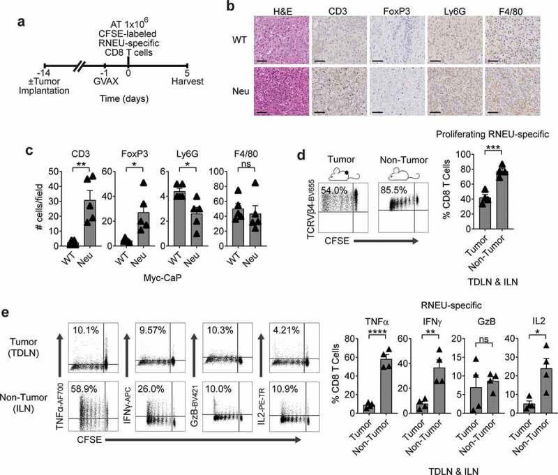 https://cdn.ncbi.nlm.nih.gov/pmc/blobs/8add/7781773/9104a07caea8/KONI_A_1809926_F0004_OC.jpg