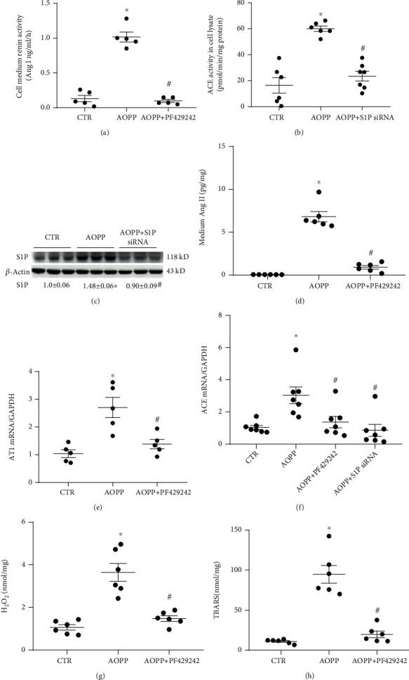 https://cdn.ncbi.nlm.nih.gov/pmc/blobs/8add/8642821/728125ef9b52/OMCL2021-5710440.005.jpg