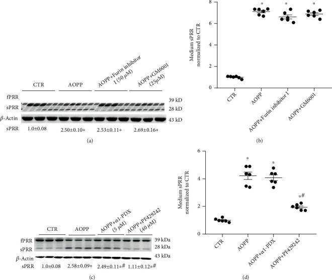 https://cdn.ncbi.nlm.nih.gov/pmc/blobs/8add/8642821/dbd0d4b42194/OMCL2021-5710440.004.jpg
