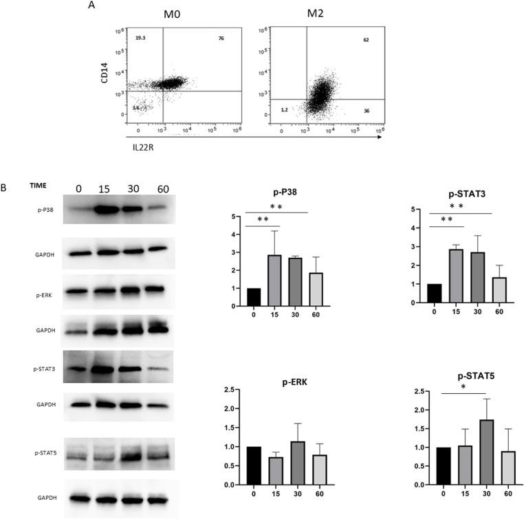 https://cdn.ncbi.nlm.nih.gov/pmc/blobs/8ade/12176296/32bf8af53c97/pntd.0013132.g004.jpg