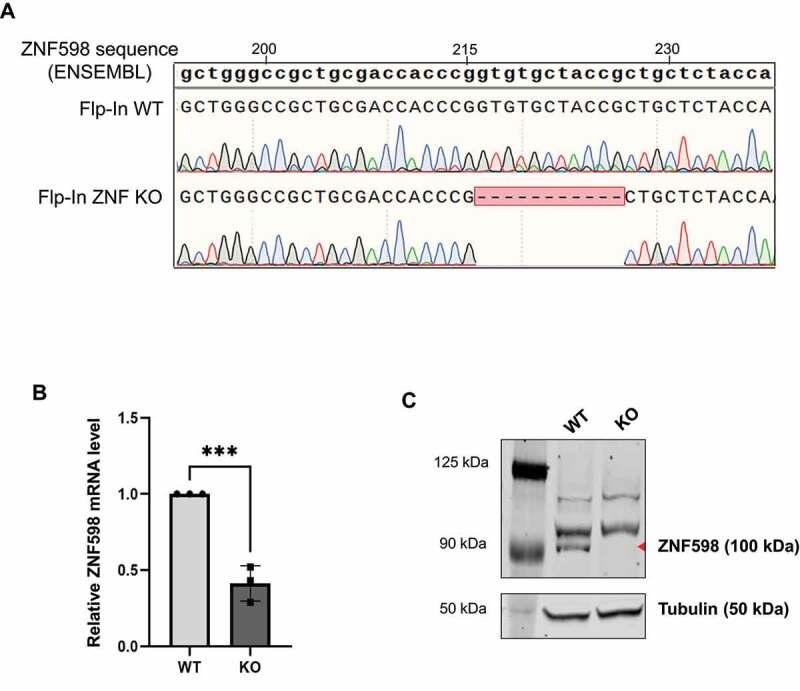 https://cdn.ncbi.nlm.nih.gov/pmc/blobs/8ade/9067528/cd0ab49cb57c/KRNB_A_2065116_F0004_OC.jpg