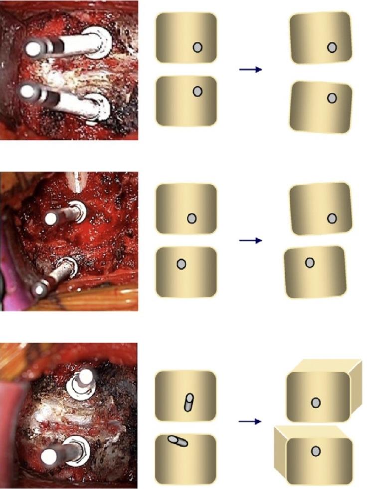 https://cdn.ncbi.nlm.nih.gov/pmc/blobs/8adf/10080418/dc0f832d873c/ns-2244780-390f5.jpg