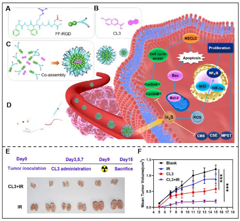 https://cdn.ncbi.nlm.nih.gov/pmc/blobs/8adf/10614680/665115f32186/thnov13p5322g006.jpg