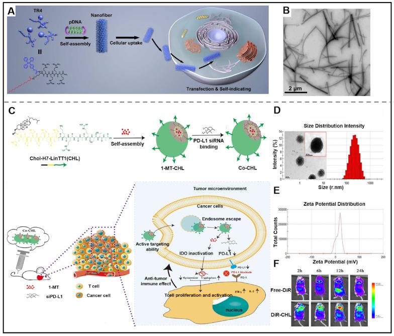https://cdn.ncbi.nlm.nih.gov/pmc/blobs/8adf/10614680/f38b654c03a2/thnov13p5322g007.jpg
