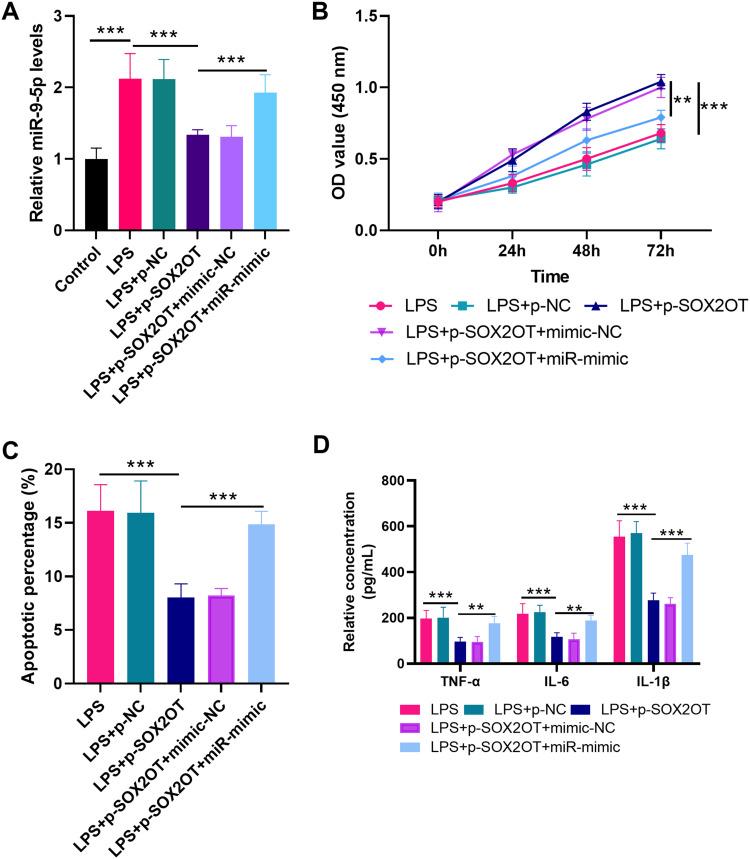 https://cdn.ncbi.nlm.nih.gov/pmc/blobs/8ae1/12068393/6afaeea62847/JIR-18-6077-g0005.jpg