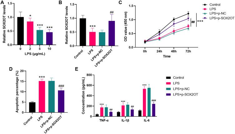 https://cdn.ncbi.nlm.nih.gov/pmc/blobs/8ae1/12068393/9fe3ced4e3b8/JIR-18-6077-g0003.jpg