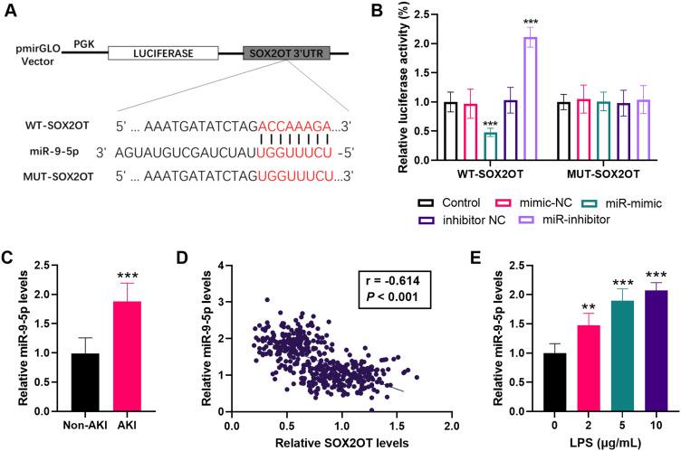 https://cdn.ncbi.nlm.nih.gov/pmc/blobs/8ae1/12068393/b883fbb6c64c/JIR-18-6077-g0004.jpg
