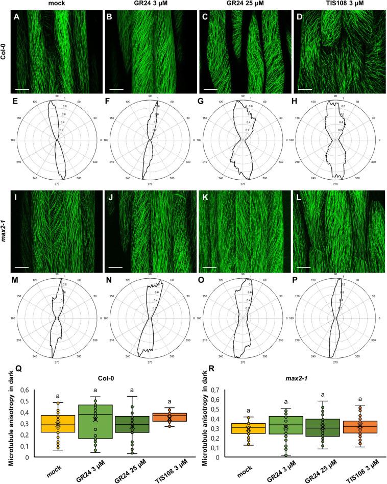 https://cdn.ncbi.nlm.nih.gov/pmc/blobs/8ae1/8293678/c1b33d015fda/fpls-12-675981-g004.jpg