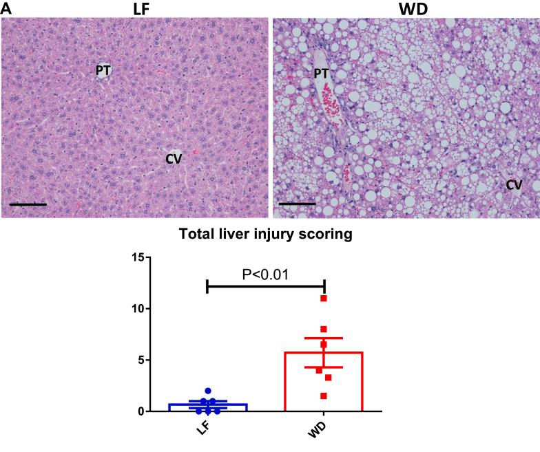 https://cdn.ncbi.nlm.nih.gov/pmc/blobs/8ae1/9638804/72ba6b02bd1e/gr2a.jpg