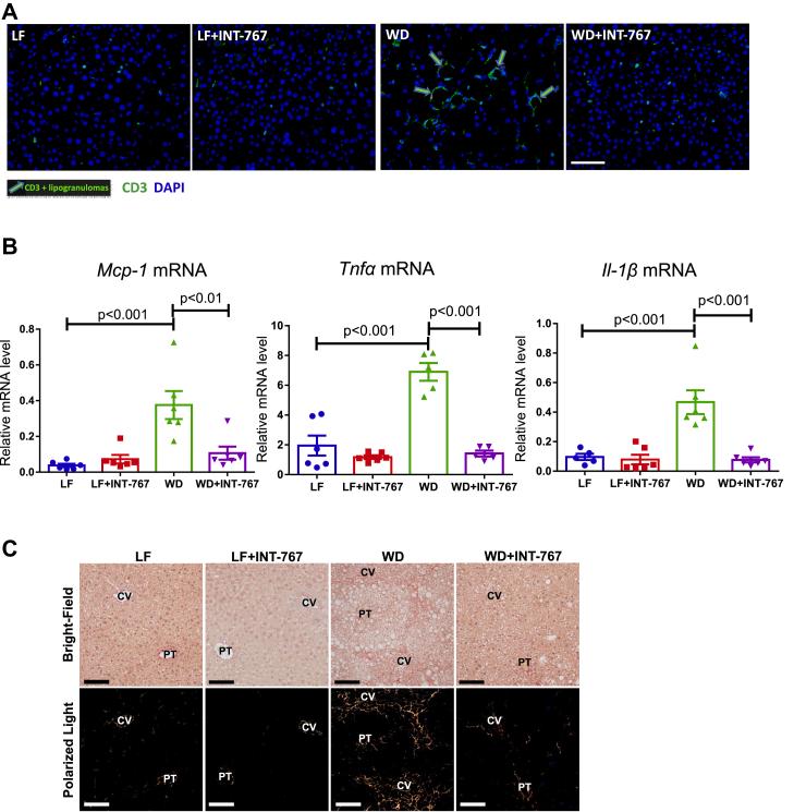 https://cdn.ncbi.nlm.nih.gov/pmc/blobs/8ae1/9638804/98b031c82b99/gr3ac.jpg