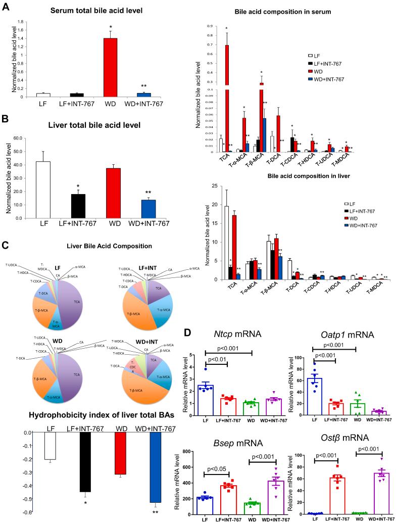 https://cdn.ncbi.nlm.nih.gov/pmc/blobs/8ae1/9638804/a106051eb916/gr4ad.jpg