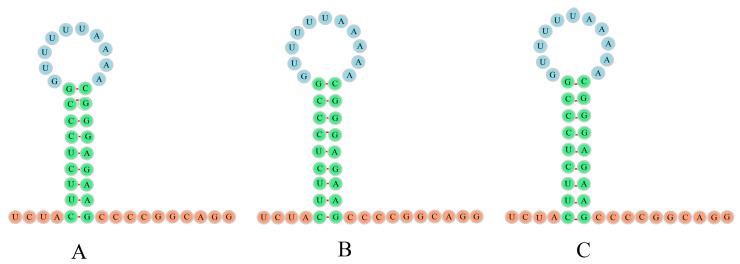 https://cdn.ncbi.nlm.nih.gov/pmc/blobs/8ae8/10215353/ec30a1d7ba3b/animals-13-01593-g003.jpg