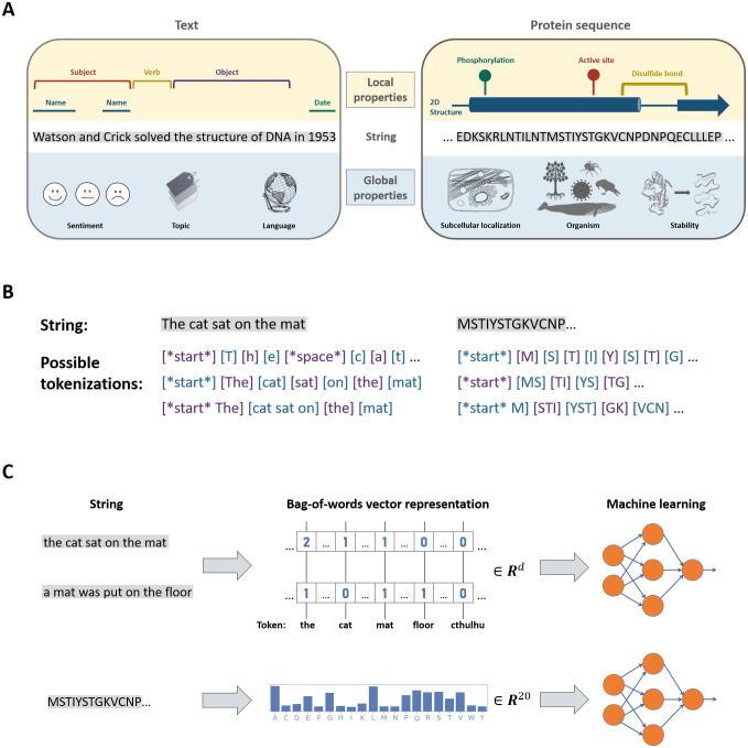 https://cdn.ncbi.nlm.nih.gov/pmc/blobs/8aea/8050421/e7ebfb85c74f/gr1.jpg