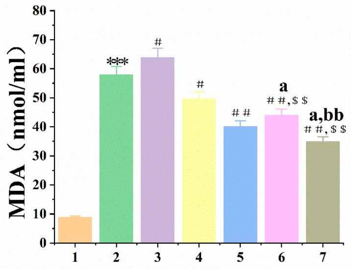 https://cdn.ncbi.nlm.nih.gov/pmc/blobs/8aeb/10526088/d07764412409/antioxidants-12-01766-g005.jpg
