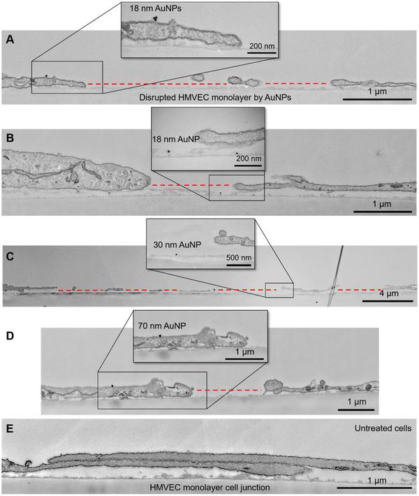 https://cdn.ncbi.nlm.nih.gov/pmc/blobs/8aee/8564447/0f2309a7cf7c/ADVS-8-2102519-g001.jpg