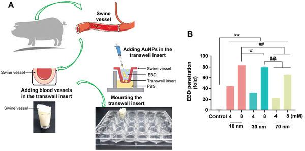 https://cdn.ncbi.nlm.nih.gov/pmc/blobs/8aee/8564447/c116d8cdccba/ADVS-8-2102519-g004.jpg