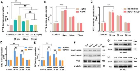 https://cdn.ncbi.nlm.nih.gov/pmc/blobs/8aee/8564447/c90d6dfb6550/ADVS-8-2102519-g007.jpg