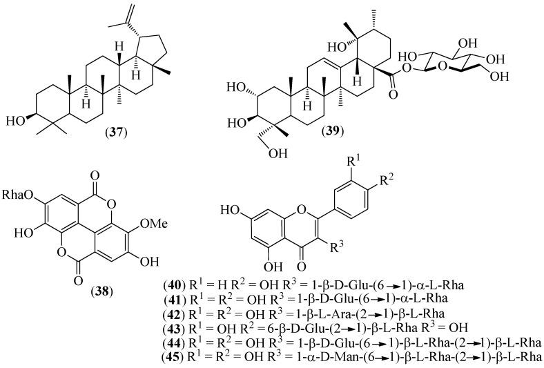 https://cdn.ncbi.nlm.nih.gov/pmc/blobs/8aee/8624270/a97ecfa15d78/pharmaceuticals-14-01145-g007.jpg
