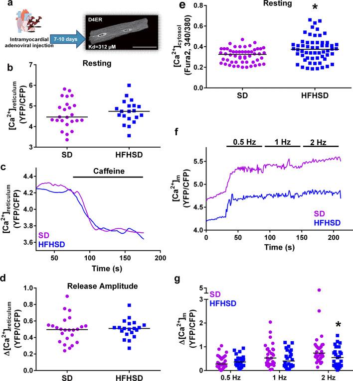 https://cdn.ncbi.nlm.nih.gov/pmc/blobs/8af2/7704523/39e5c8ae3741/395_2020_835_Fig4_HTML.jpg