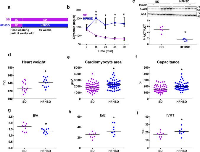 https://cdn.ncbi.nlm.nih.gov/pmc/blobs/8af2/7704523/67f76c183fa6/395_2020_835_Fig1_HTML.jpg