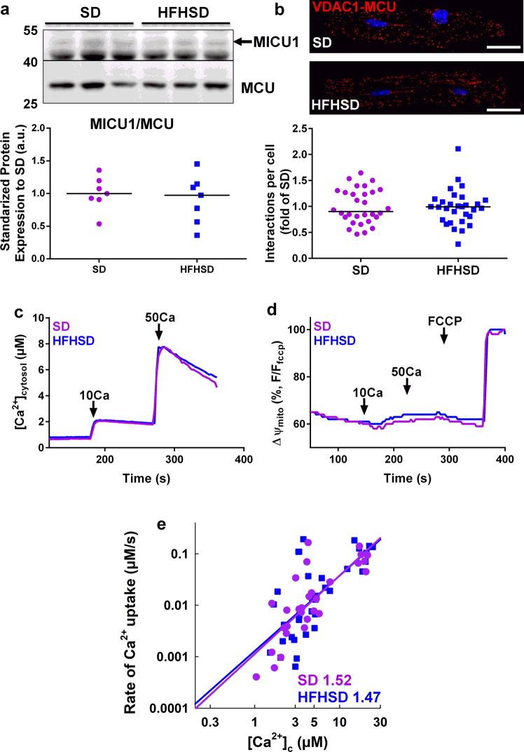 https://cdn.ncbi.nlm.nih.gov/pmc/blobs/8af2/7704523/6fcc4d009f36/395_2020_835_Fig5_HTML.jpg