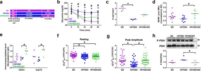 https://cdn.ncbi.nlm.nih.gov/pmc/blobs/8af2/7704523/b40800eaa528/395_2020_835_Fig6_HTML.jpg