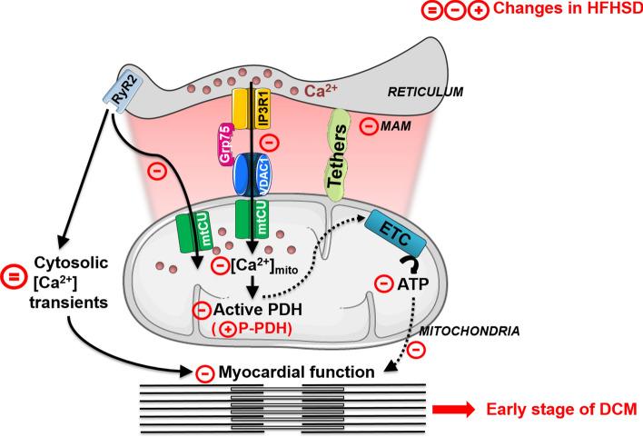 https://cdn.ncbi.nlm.nih.gov/pmc/blobs/8af2/7704523/f407ef732be1/395_2020_835_Fig7_HTML.jpg