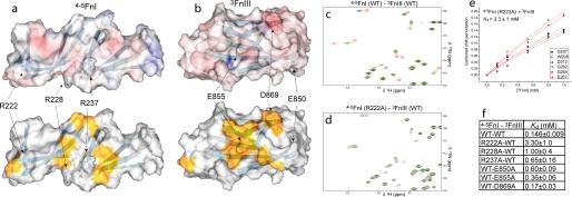 https://cdn.ncbi.nlm.nih.gov/pmc/blobs/8af3/2708863/b91727537313/zbc0280979010005.jpg