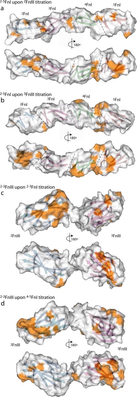 https://cdn.ncbi.nlm.nih.gov/pmc/blobs/8af3/2708863/eb8db98dcbfb/zbc0280979010003.jpg