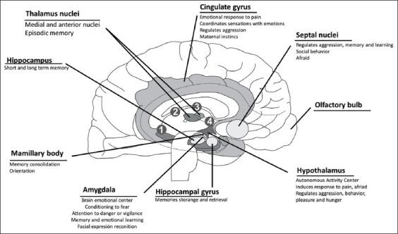 https://cdn.ncbi.nlm.nih.gov/pmc/blobs/8af4/8743789/4b8411aa0181/Vetworld-14-2984-g002.jpg