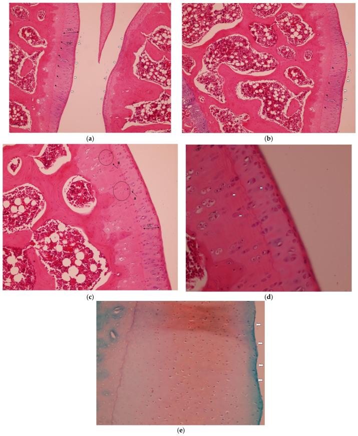 https://cdn.ncbi.nlm.nih.gov/pmc/blobs/8af6/12387975/516066f5e0b5/medicina-61-01461-g002.jpg