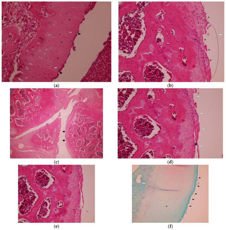 https://cdn.ncbi.nlm.nih.gov/pmc/blobs/8af6/12387975/c9d46d7b4493/medicina-61-01461-g001.jpg