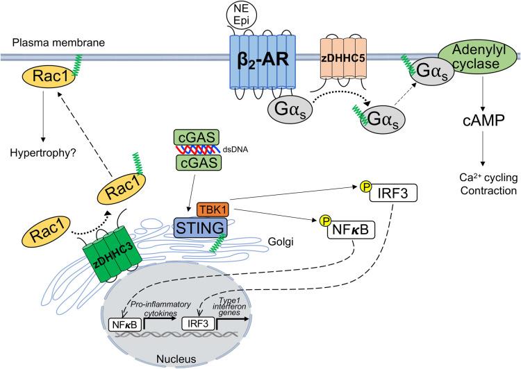 https://cdn.ncbi.nlm.nih.gov/pmc/blobs/8af7/10903464/217a112e52bd/BST-52-41-g0001.jpg