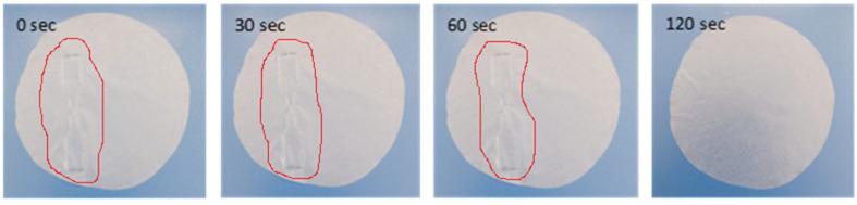 https://cdn.ncbi.nlm.nih.gov/pmc/blobs/8af7/11054538/60631bf093ec/polymers-16-01130-g001.jpg