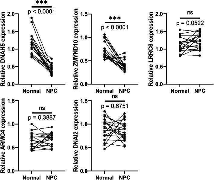 https://cdn.ncbi.nlm.nih.gov/pmc/blobs/8af7/12214193/117446ac42ec/12672_2025_3047_Fig9_HTML.jpg