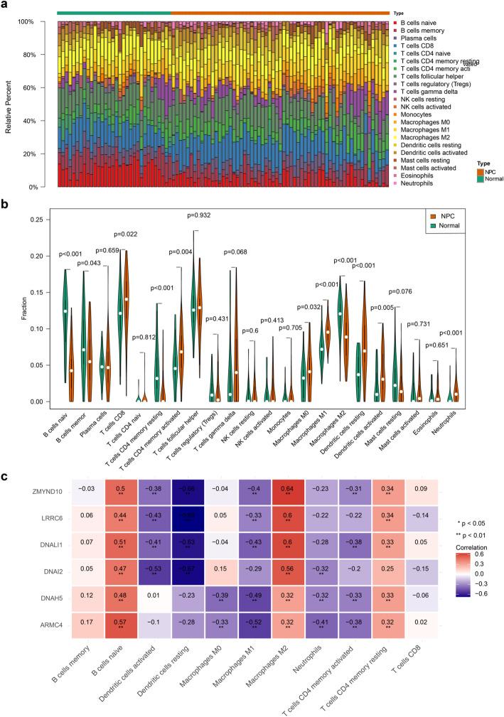 https://cdn.ncbi.nlm.nih.gov/pmc/blobs/8af7/12214193/2549341347e0/12672_2025_3047_Fig5_HTML.jpg