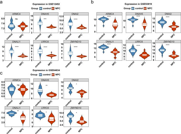 https://cdn.ncbi.nlm.nih.gov/pmc/blobs/8af7/12214193/504e384124f8/12672_2025_3047_Fig7_HTML.jpg