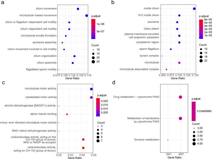 https://cdn.ncbi.nlm.nih.gov/pmc/blobs/8af7/12214193/87c14695885f/12672_2025_3047_Fig2_HTML.jpg