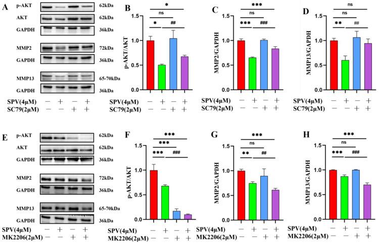https://cdn.ncbi.nlm.nih.gov/pmc/blobs/8af8/11510114/cfc01bdb8ee6/pharmaceuticals-17-01318-g010.jpg
