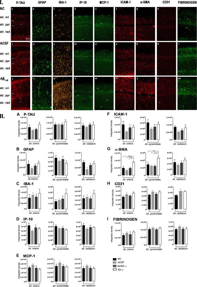 https://cdn.ncbi.nlm.nih.gov/pmc/blobs/8af9/7667153/0288c784dc21/fnmol-13-552073-g0007.jpg