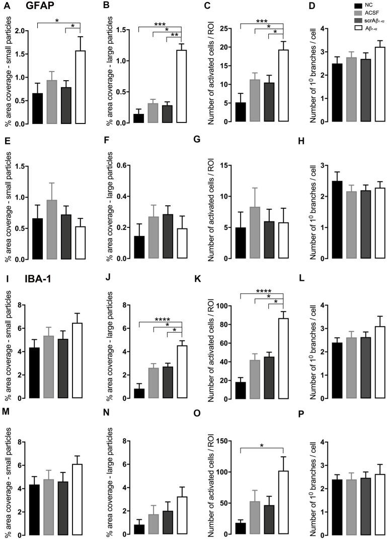 https://cdn.ncbi.nlm.nih.gov/pmc/blobs/8af9/7667153/0473ccf643dd/fnmol-13-552073-g0006.jpg
